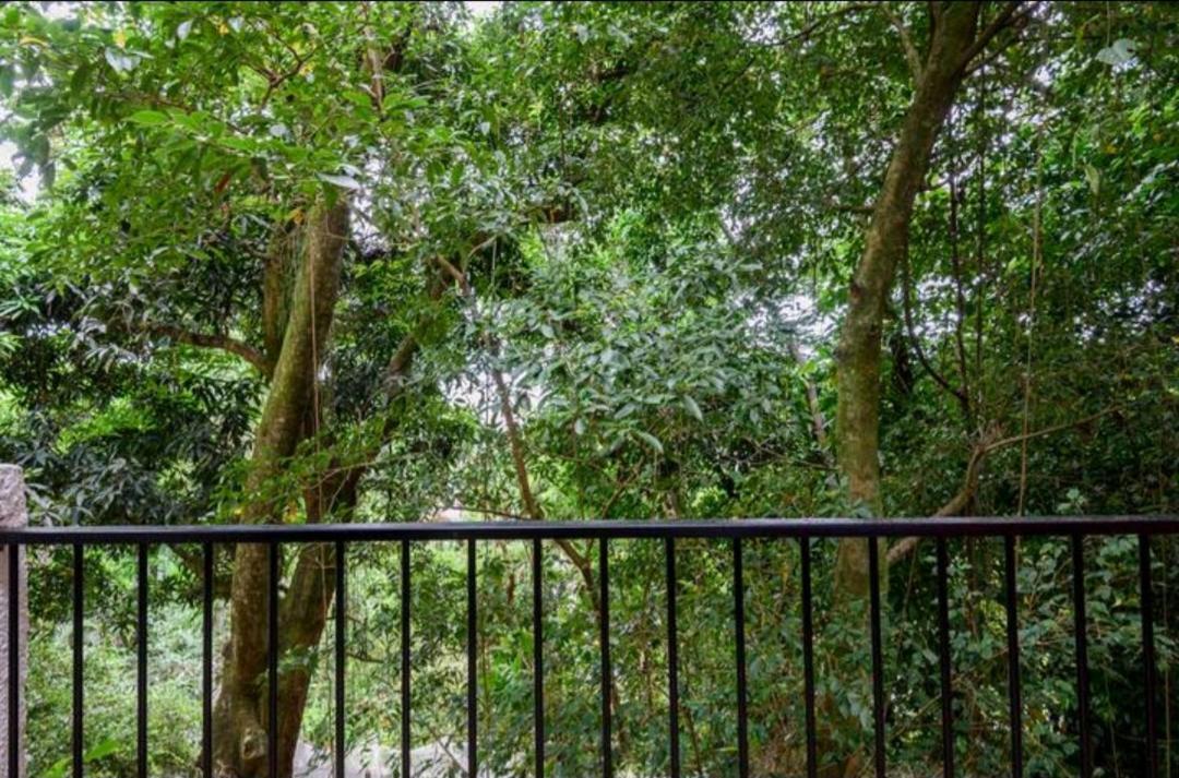 Santa Teresa Junto A Natureza Rio de Janeiro Eksteriør billede